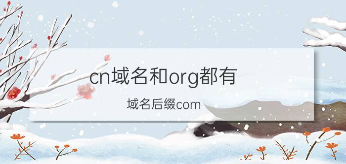 cn域名和org都有 域名后缀com.cn和.cn有什么区别，为何不用更简短的.cn？